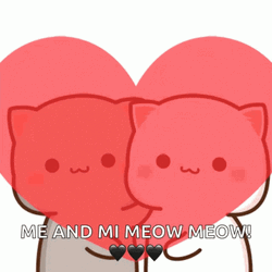 Cat Lover Me And Meow Meow GIF