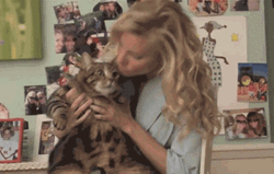 Cat Lover Snuggle GIF