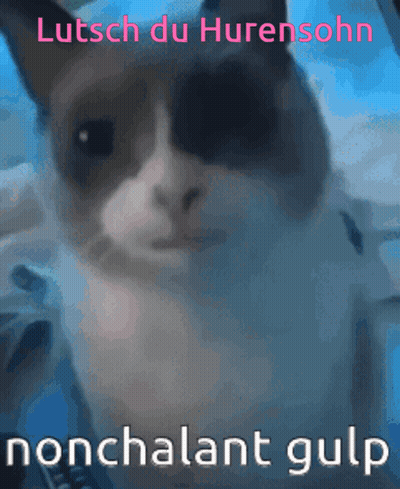 Cat Lutsch Du Hurensonn Nonchalant Gulp GIF