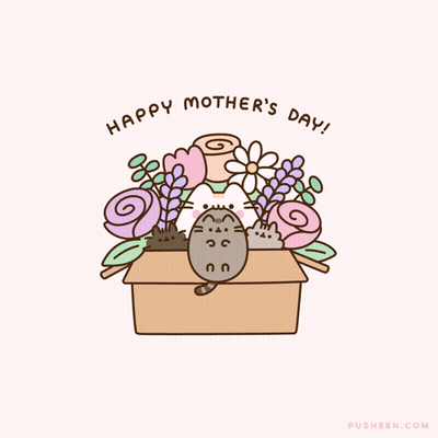 Cat Lying In Box With Flowers Happy Mothers Day GIF