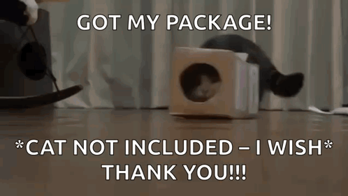 Cat Lying In Cardboard Box GIF