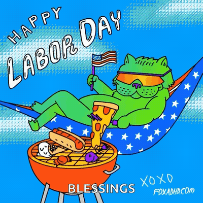 Cat Lying In Hammock Holding American Flag And Pizza GIF