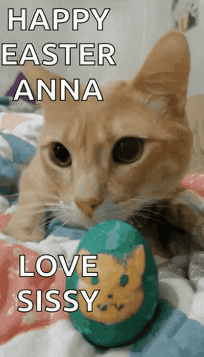 Cat Lying Next To Easter Egg Happy Easter GIF