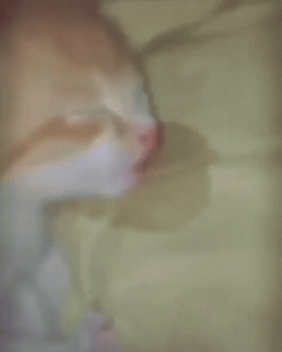 Cat Lying On Bed GIF