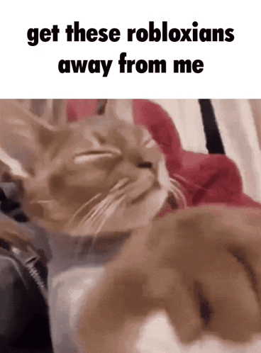 Cat Lying On Bed Saying Get Robloxians Away GIF