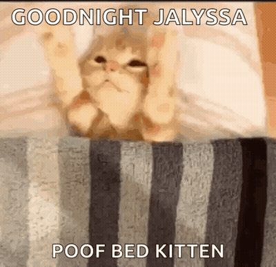 Cat Lying On Bed Saying Goodnight GIF