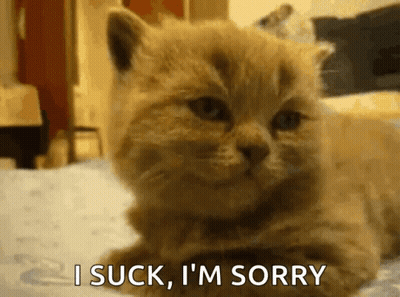 Cat Lying On Bed Saying I Suck Sorry GIF