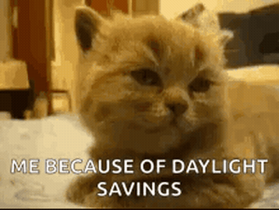 Cat Lying On Bed Saying Me Because Of Daylight Savings GIF