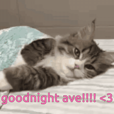 Cat Lying On Bed Under Blanket Goodnight Ave GIF