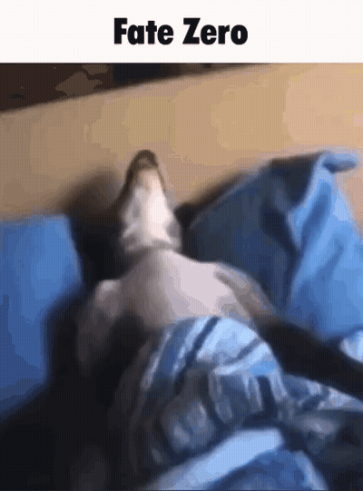 Cat Lying On Bed With Blue Blanket GIF