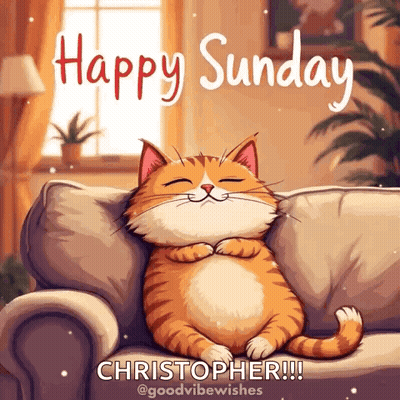Cat Lying On Couch Happy Sunday Christopher GIF
