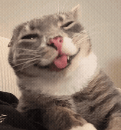 Cat Lying On Couch With Tongue Out GIF