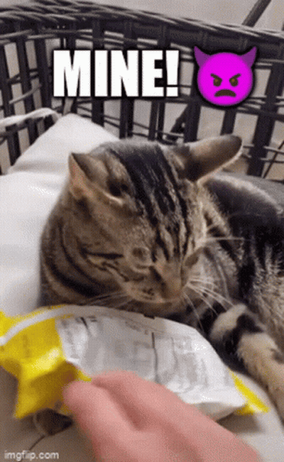 Cat Lying On Pillow Next To Chips And Purple Devil GIF