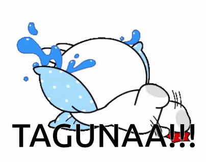 Cat Lying On Pillow With Water GIF