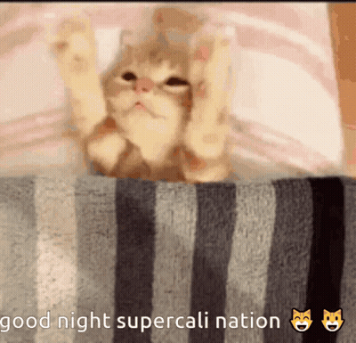 Cat Lying On Striped Blanket Good Night GIF