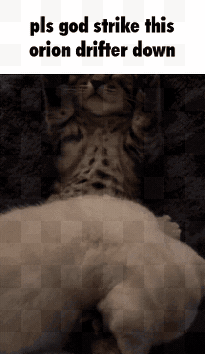 Cat Lying On White Dog GIF