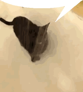 Cat Lying On White Surface Sticker