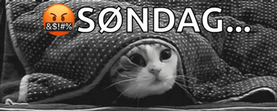 Cat Lying Under Blanket With Sondag GIF