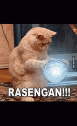Cat Makes Rasengan Funny GIF