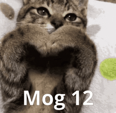 Cat Making Heart Shape With Paws And Mog 12 GIF