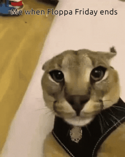 Cat Me When Floppa Friday Ends GIF