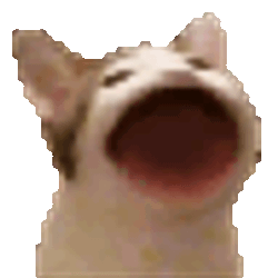 Cat Meme Sticker GIF