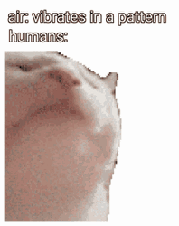 Cat Memes Human Air Vibrate Headbang  GIF