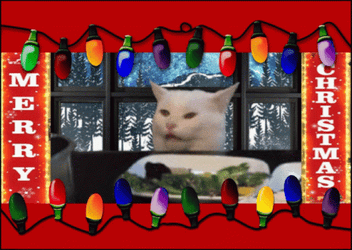 Cat Merry Christmas Meme GIF