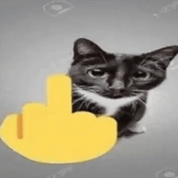 Cat Middle Finger Meme GIF