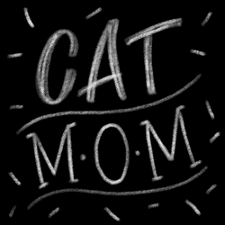 Cat Mom Chalk Drawing GIF