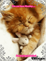 Cat Mouse Bed Cuddle Monday Good Morning GIF