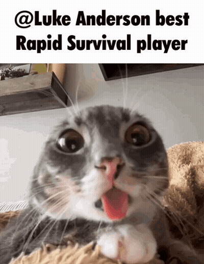 Cat Mouth Open Luke Anderson Best Rapid Survival GIF