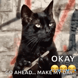 Cat Nail File Go Ahead Make My Day GIF