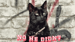 Cat Nail File No He Didn't GIF