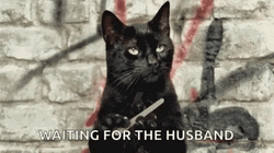Cat Nail File Waiting For Husband GIF