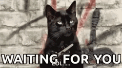 Cat Nail File Waiting For You GIF