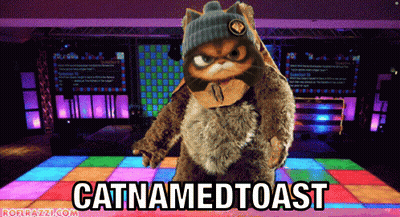 Cat Named Toast Dancing GIF