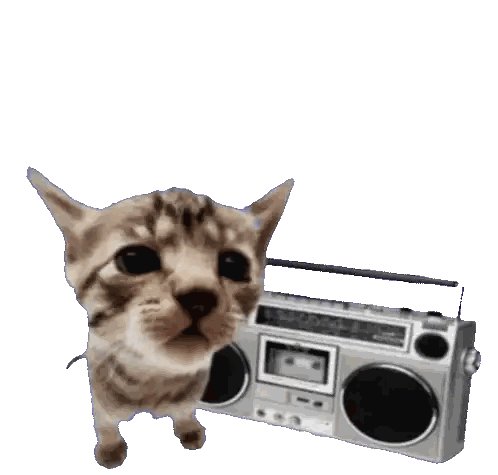 Cat Next To Boombox With Music Notes Sticker