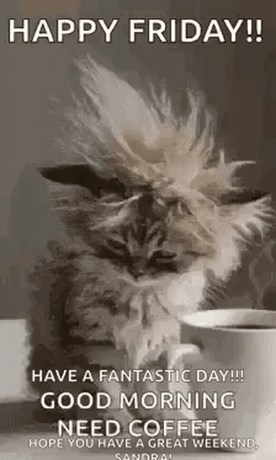 Cat Next To Coffee Happy Friday GIF