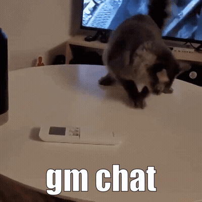 Cat Next To Remote Control Gm Chat GIF