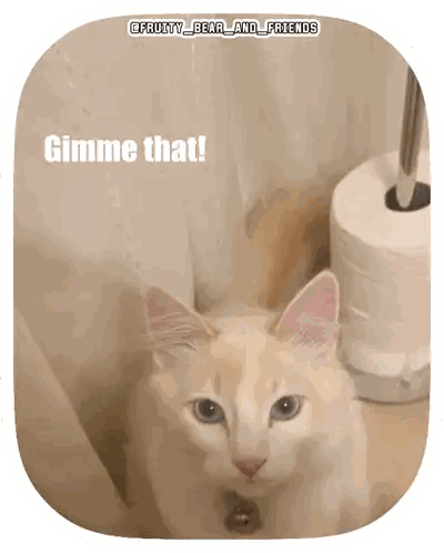 Cat Next To Toilet Paper Gimme That Sticker
