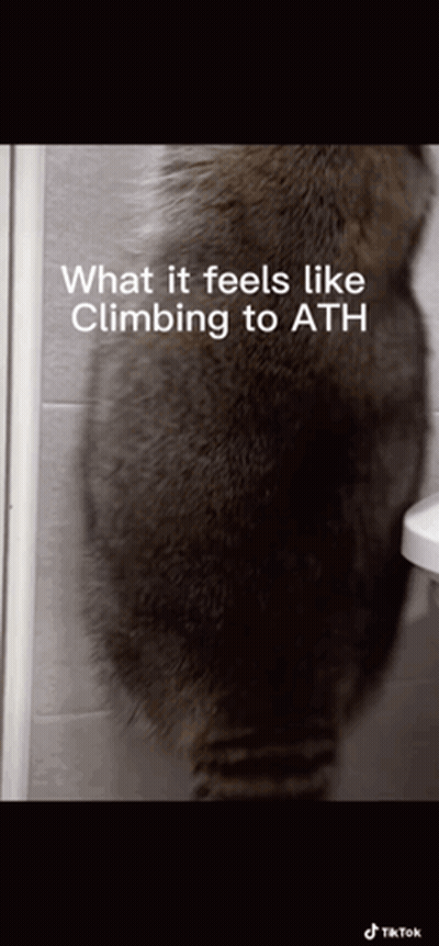 Cat Next To Toilet What It Feels Like Climbing To Ath GIF