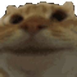 Cat Nodding Nodding Cat Sticker GIF