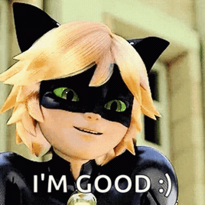Cat Noir From Miraculous Ladybug Smiling GIF
