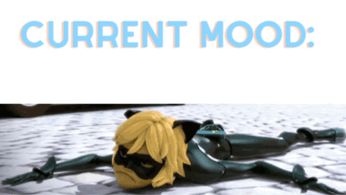 Cat Noir Laying On Ground Current Mood GIF