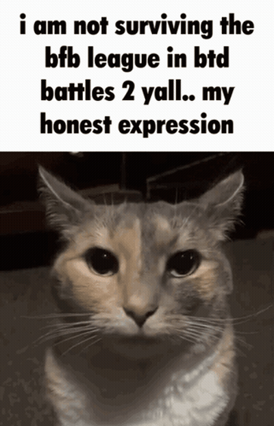 Cat Not Surviving BFF League BTD Battles 2 GIF