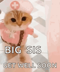 Cat Nurse Big Sis Get Well Soon GIF