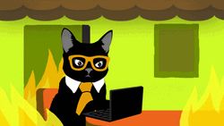 Cat Office Computer Memes Parody GIF