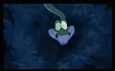 Cat On A Leash With TikTok Watermark GIF