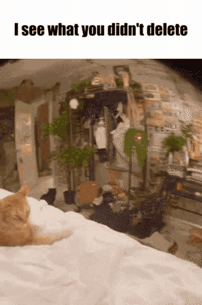 Cat On Bed I See What You Didn't Delete GIF